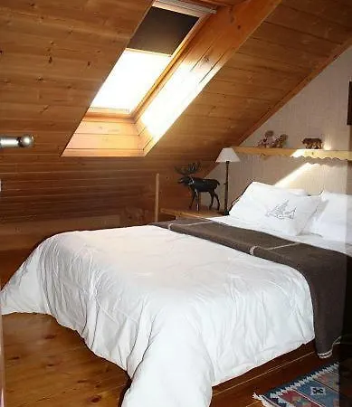 De 6 P De Lans Apartment